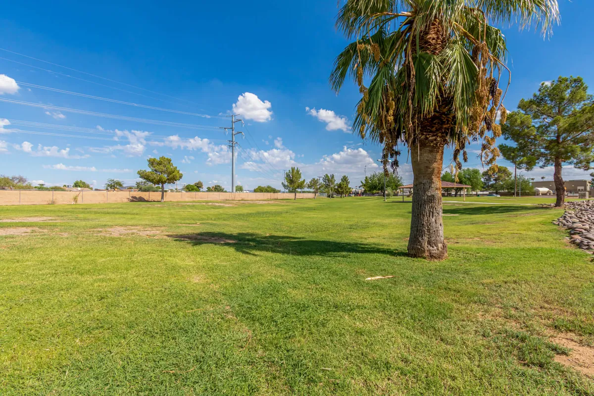 This image highlights a majestic palm tree in an open grassy area under a brilliant blue sky dotted with clouds. The setting feels tranquil yet inviting, evoking the natural desert beauty of Arizona and the lush, sun-drenched ambiance that golf lovers seek.